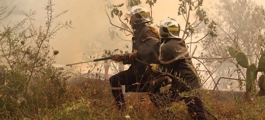 Les incendies de foret en Algerie font deja 34 morts