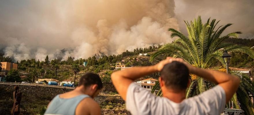 Lincendie de foret de La Palma force levacuation de plus