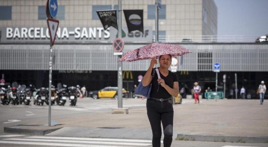 Temperatures extremes LOMS alerte sur la canicule en Europe