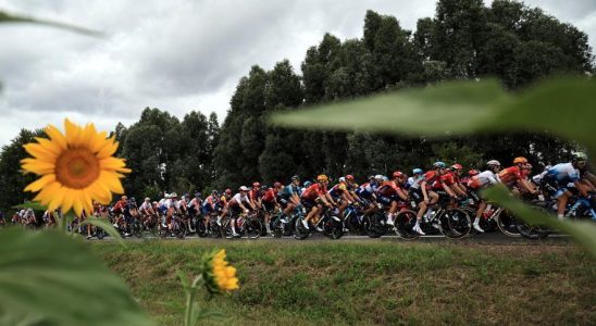 Tour de France Les meilleures images de letape 10