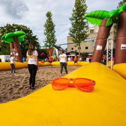 Un Belge tombe dans le panier a cause dune palme