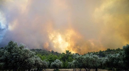 Un grand incendie de foret sur lile grecque de Rhodes
