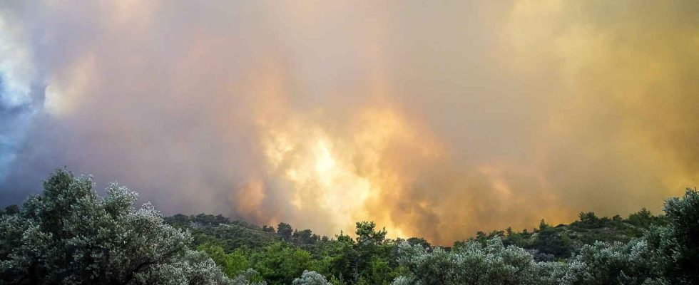 Un grand incendie de foret sur lile grecque de Rhodes