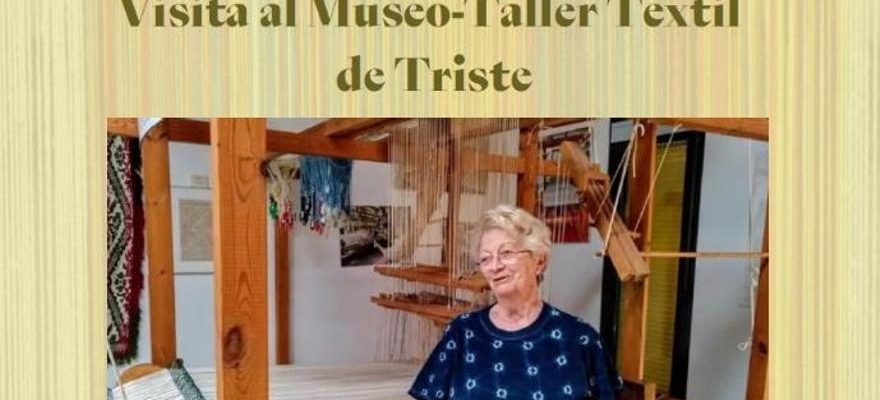 Visite du Musee Atelier Textile Triste