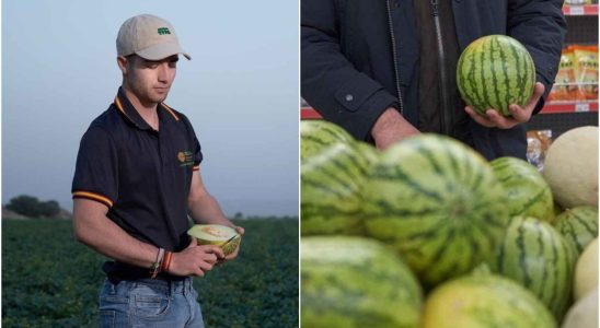 pourquoi le fruit est maintenant plus petit quavant