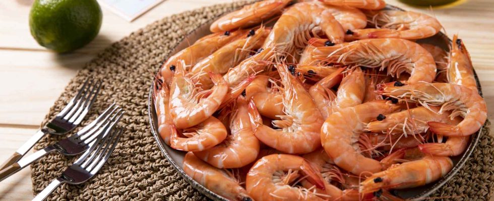 3 recettes Robin Food aux crevettes qui ont du succes