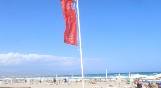 Alarme pour un faux requin a Alicante