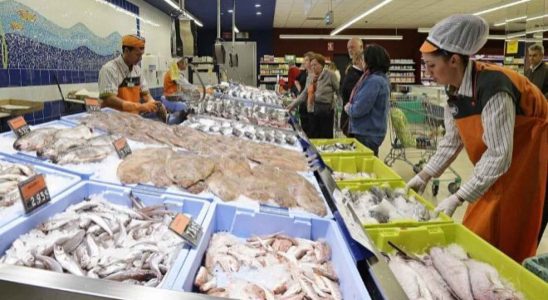 Ce sont les trois poissons Mercadona les plus recommandes par