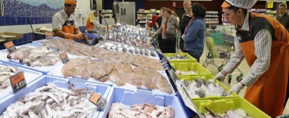 Ce sont les trois poissons Mercadona les plus recommandes par