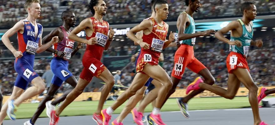 Coupe du monde dathletisme Un Katir dune autre planete