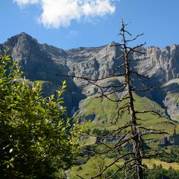 Des voleurs escaladent une montagne suisse pour voler 400 euros