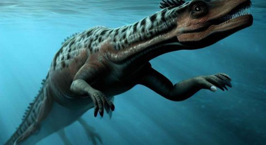 Empreintes de Notosaurus apres 240 millions dannees