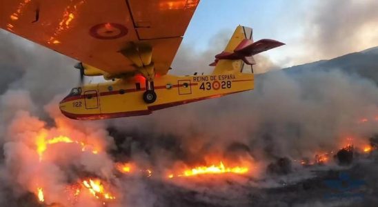 Incendie de foret aux iles Canaries Lincendie de Tenerife