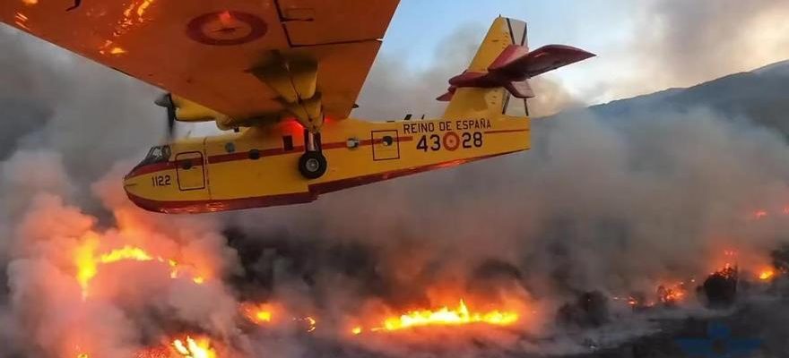 Incendie de foret aux iles Canaries Lincendie de Tenerife