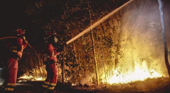 Jusqua 26 000 personnes touchees par lincendie sur lile de