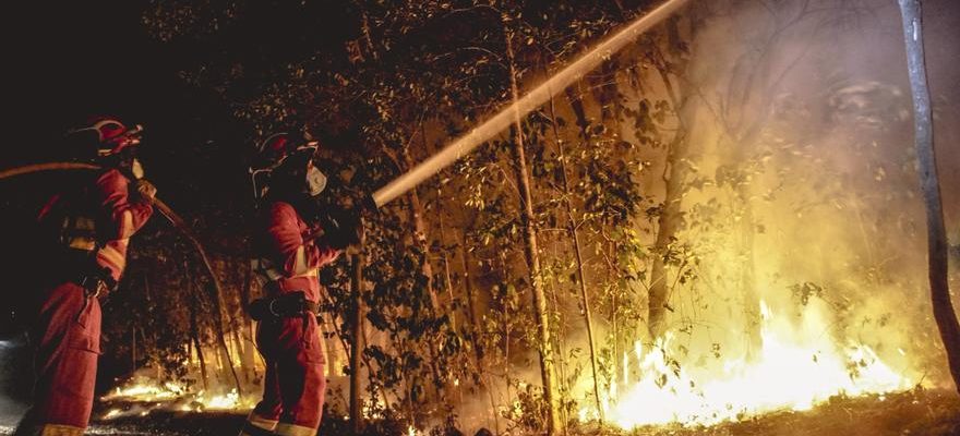 Jusqua 26 000 personnes touchees par lincendie sur lile de