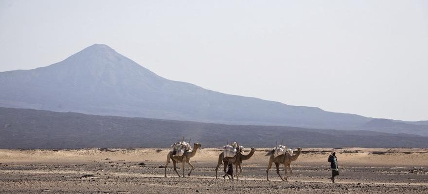 LEspagne cherche a coordonner avec dautres ambassades une sortie pour