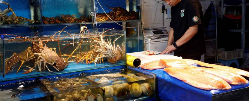 La Chine interdit les fruits de mer japonais le premier