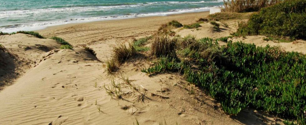 La plage de Malaga qui cache des kilometres de dunes