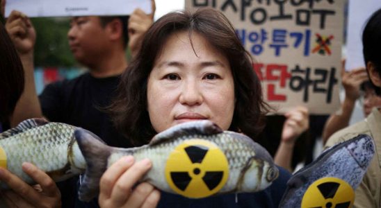 Le Japon commence a deverser les eaux polluees de Fukushima