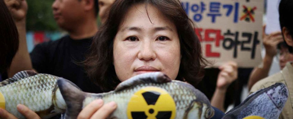 Le Japon commence a deverser les eaux polluees de Fukushima