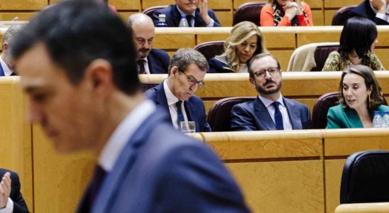 Le PP inculpe Sanchez apres la tentative de viol commise