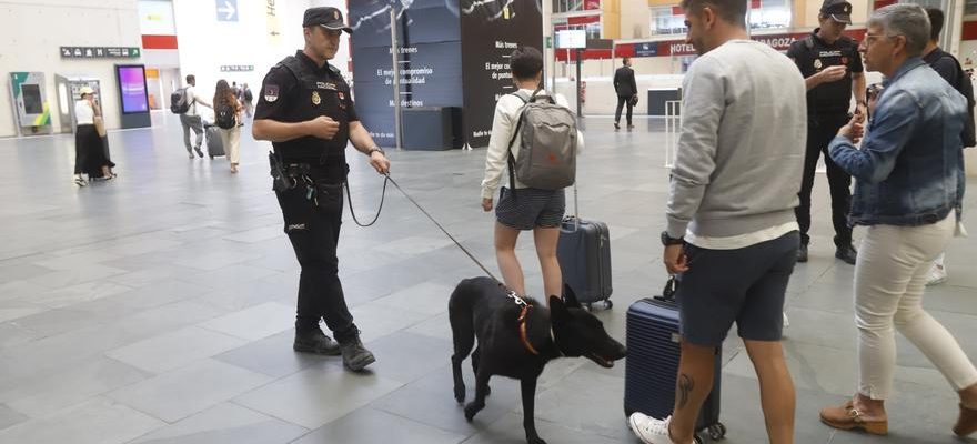 Le chien Mara detecte plus de 700 grammes de haschich