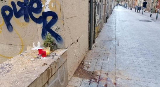 Le conseil municipal de Barcelone a examine le palmier mortel