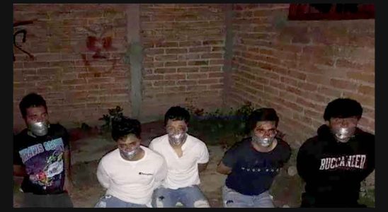 Le mystere des 5 jeunes disparus a Jalisco tortures et