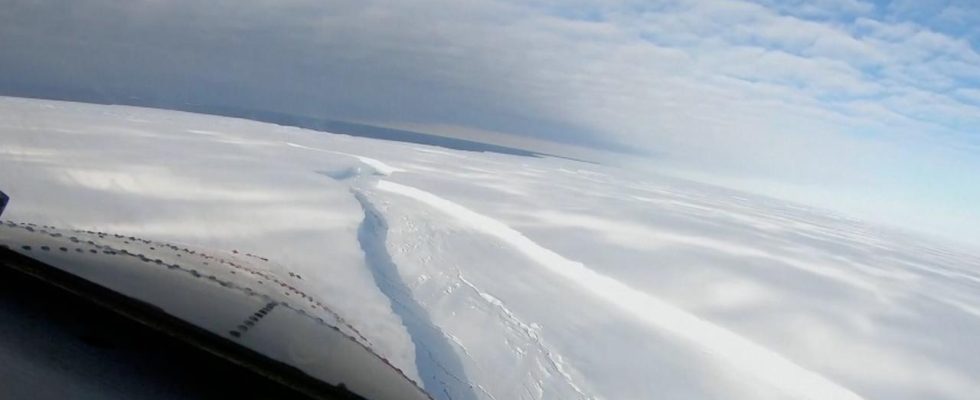 Leffritement rapide de la glace de mer savere desastreux pour