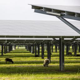 Lelectricite verte neerlandaise de plus en plus populaire Economie