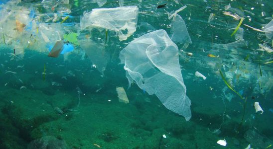 Les oceans contiennent ils moins de plastique que prevu Letude