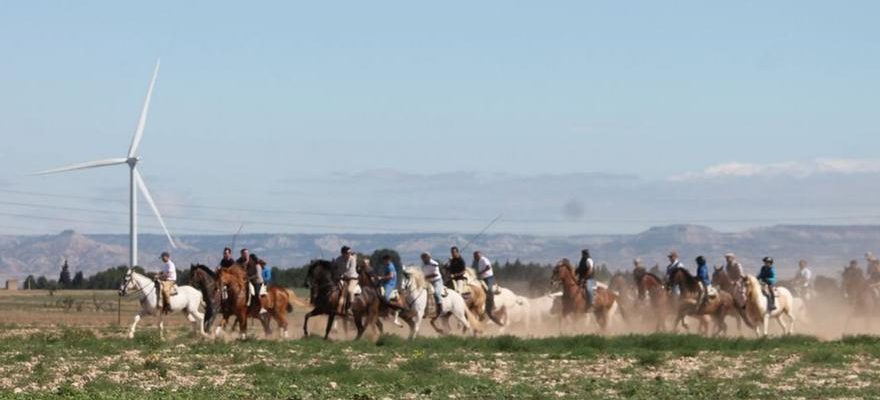 Lessence de la transhumance se retrouve dans les festivites de