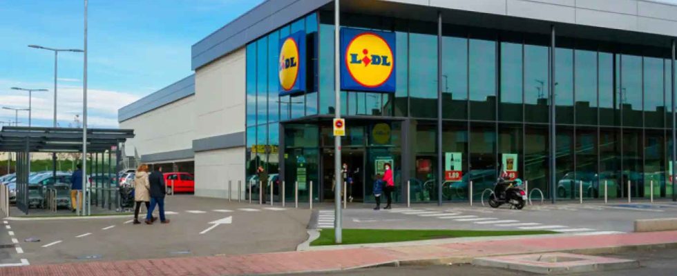 Lidl met sa nouvelle piscine gonflable a prix casse et