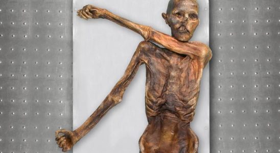 Otzi est une momie qui continue decrire lhistoire 5 000