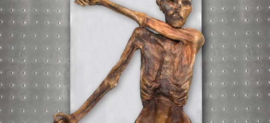 Otzi est une momie qui continue decrire lhistoire 5 000