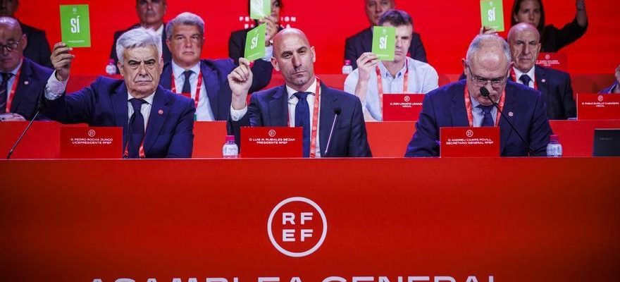 Pedro Rocha de la Federation dEstremadure succedera a Rubiales a