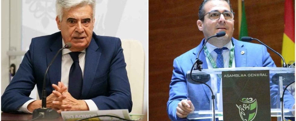 Pedro Rocha et Lozano les candidats pour remplacer Luis Rubiales