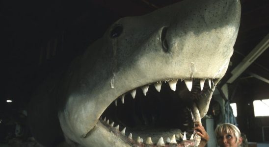 Pourquoi les requins sont ils plus populaires comme mechants de cinema