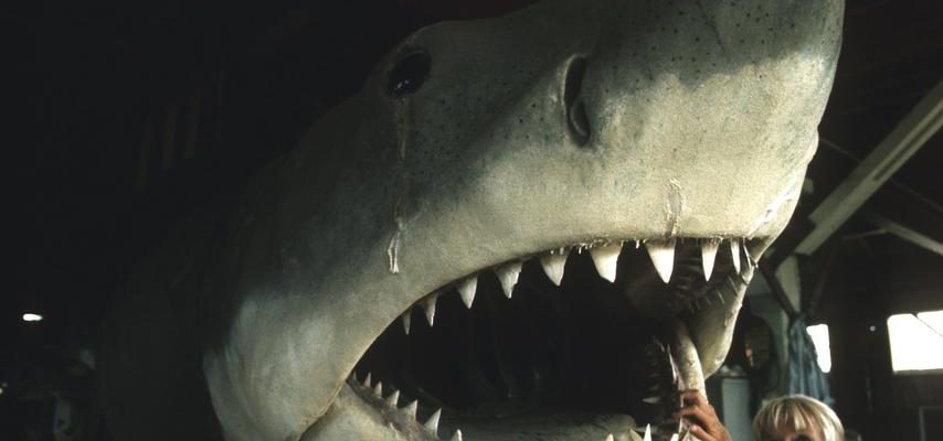 Pourquoi les requins sont ils plus populaires comme mechants de cinema