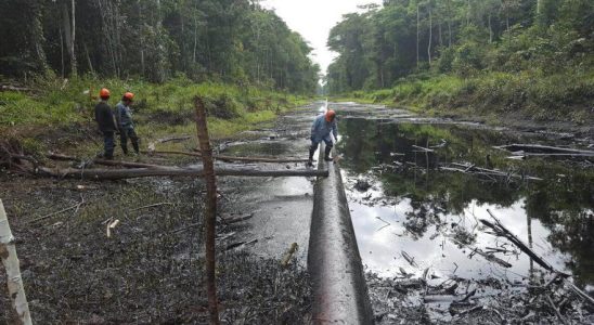 Scientifiques et ecologistes demandent larret de lexploitation petroliere en Amazonie