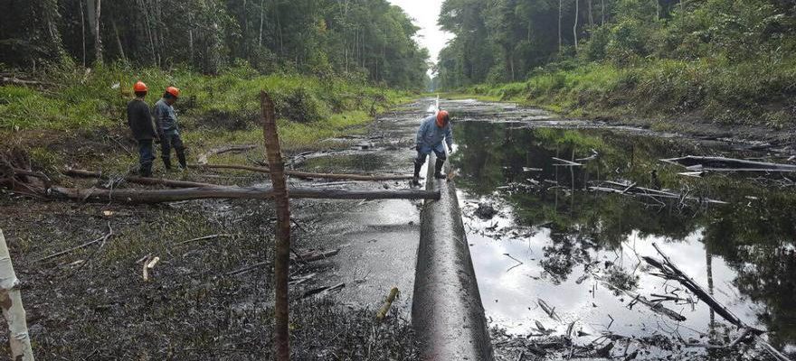 Scientifiques et ecologistes demandent larret de lexploitation petroliere en Amazonie