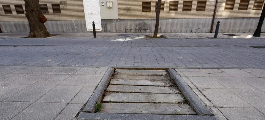 Torrero recuperera 140 arbres avant la fin de lannee