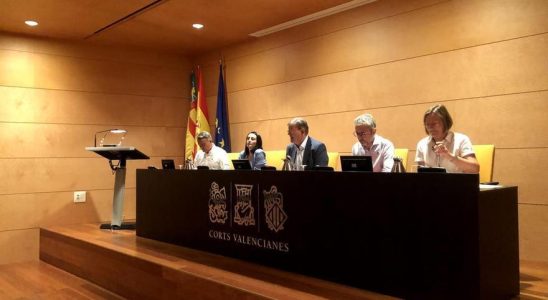 Tribunaux valenciens Puig soutient la proposition du PNV pour