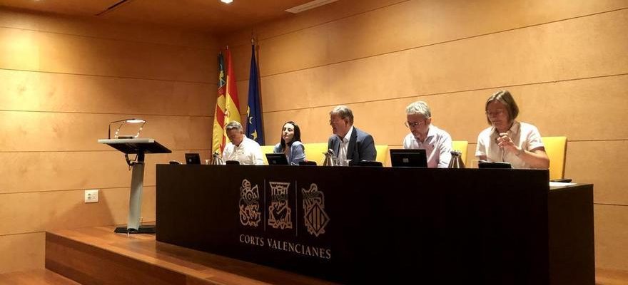 Tribunaux valenciens Puig soutient la proposition du PNV pour