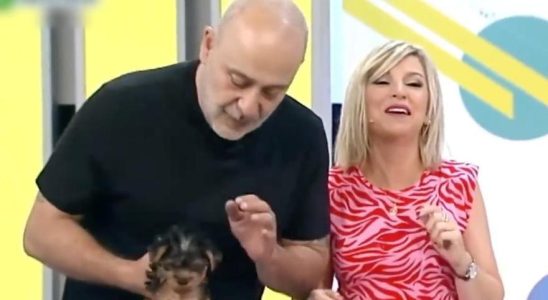 Un chien vomit en direct dans une emission de television