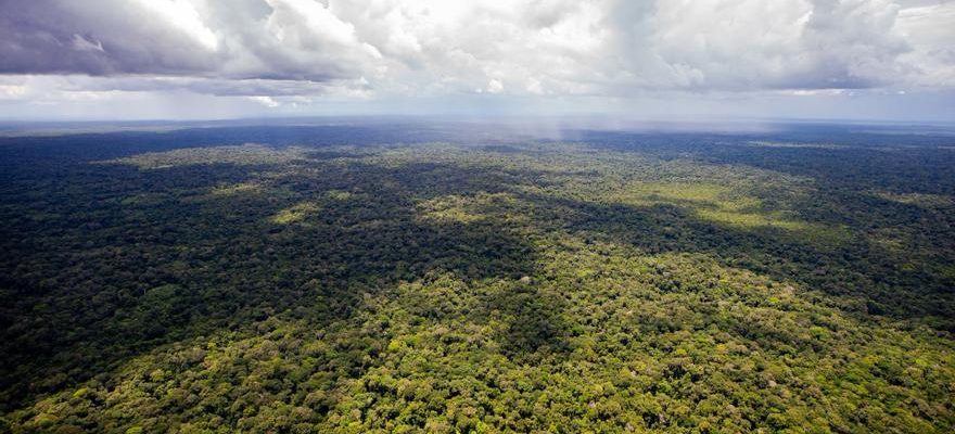 Un helicoptere avec trois occupants disparait en Amazonie bresilienne