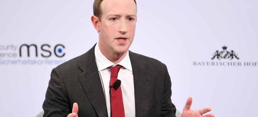 Zuckerberg Combat de musc Zuckerberg renonce a son