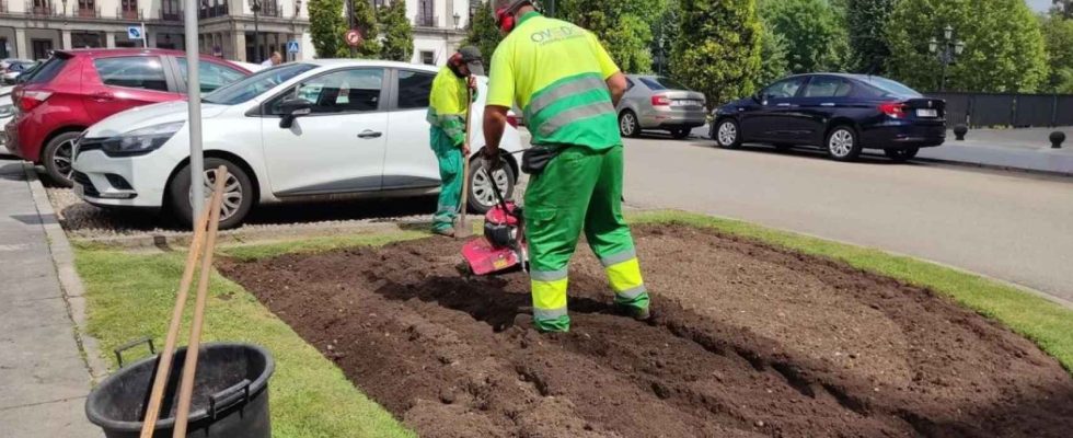 a tue son ami Luis Ventura au travail pour une