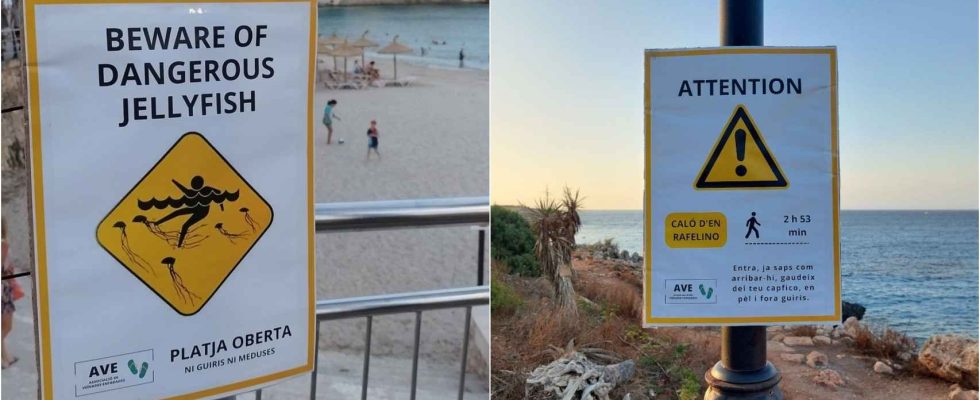 la campagne controversee pour effrayer les etrangers des plages de